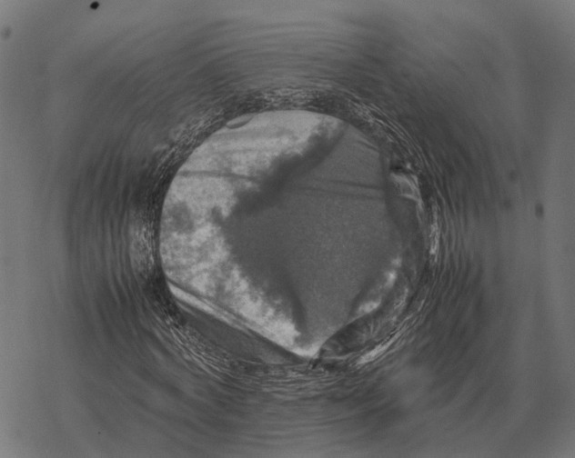 X0000067890772200605111850