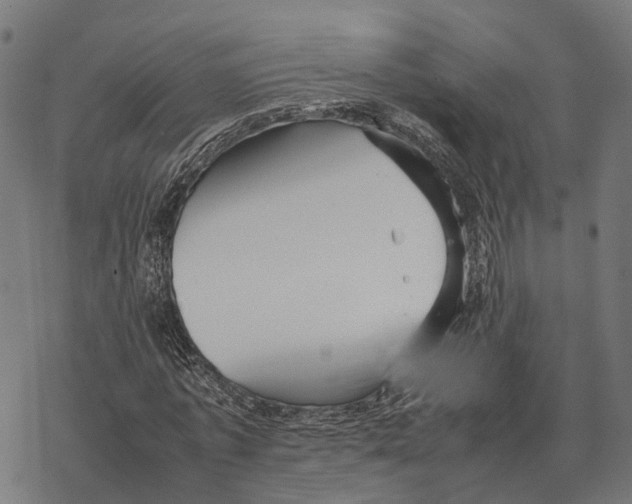 X0000067890773200605111850