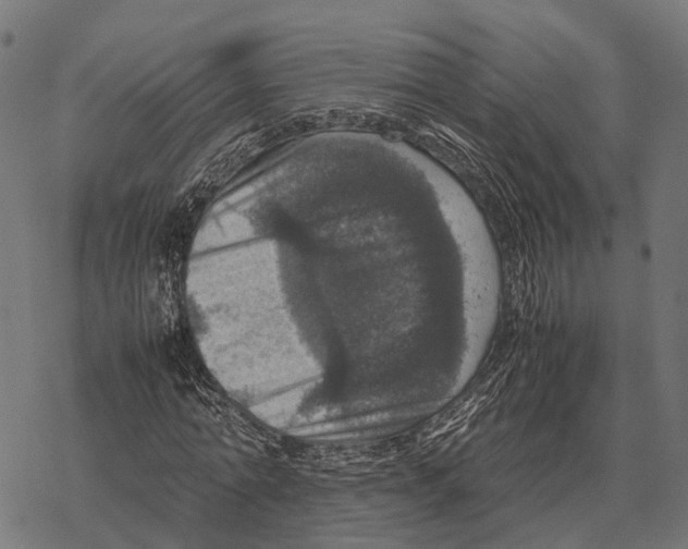 X0000067890774200605111850