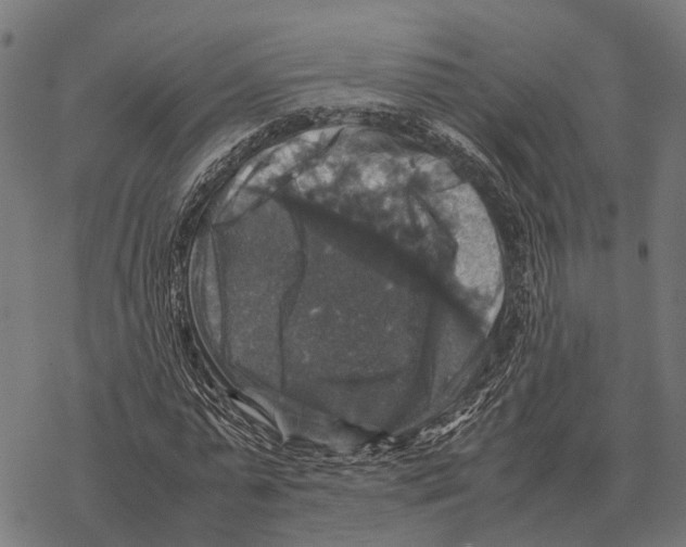 X0000067890775200605111850