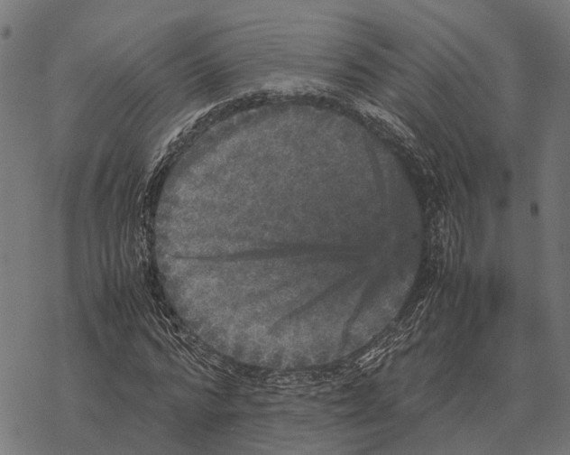 X0000067890776200605111850