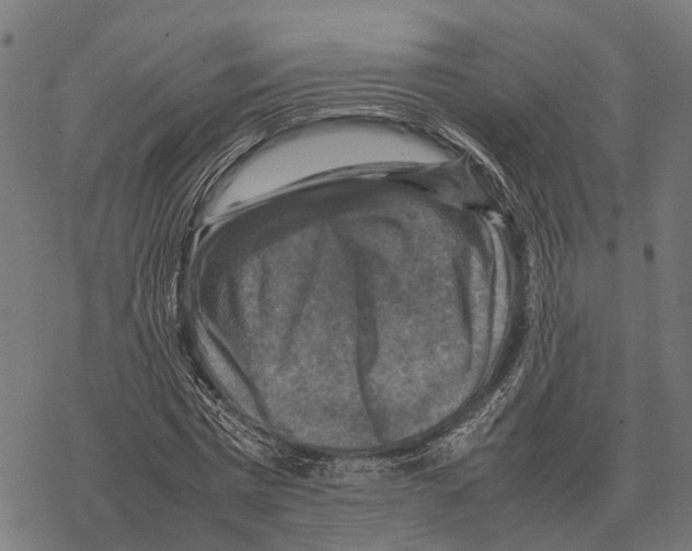 X0000067890777200605111850