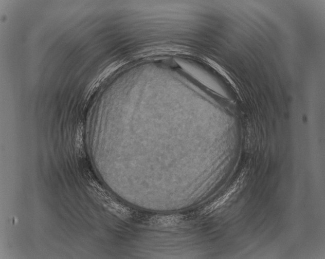 X0000067890778200605111850