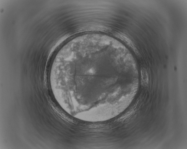 X0000067890780200605111850