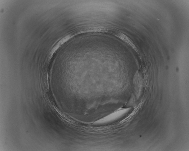 X0000067890781200605111850