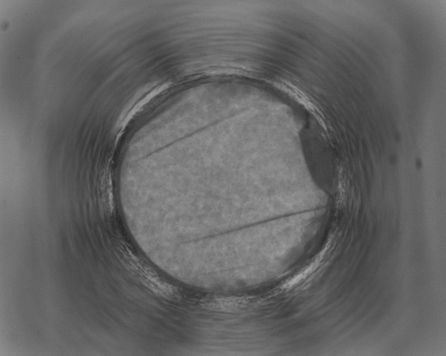 X0000067890782200605111850