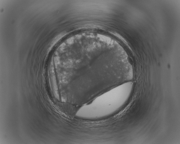 X0000067890783200605111850