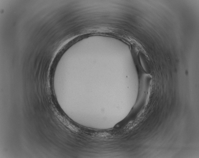 X0000067890784200605111850