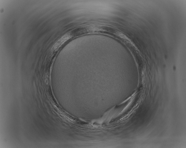 X0000067890785200605111850