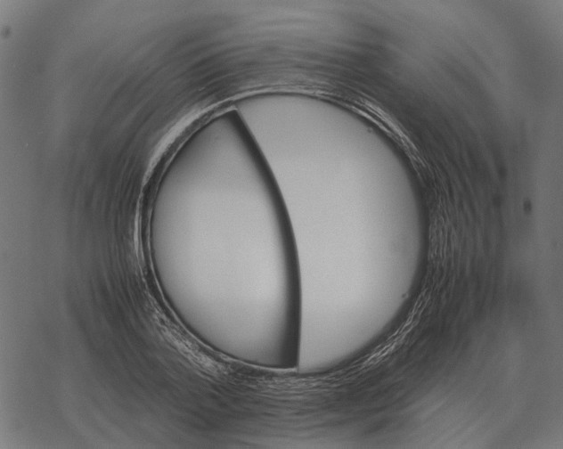 X0000067890788200605111849