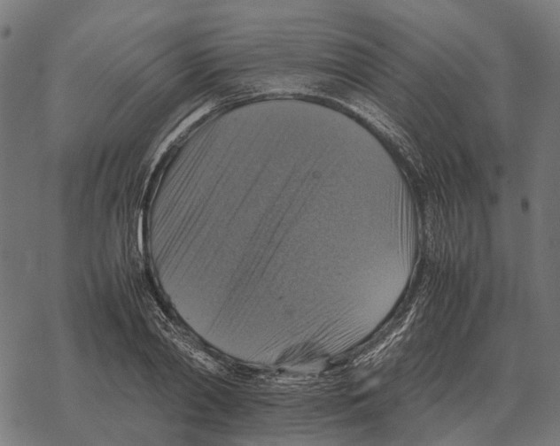 X0000067890790200605111849