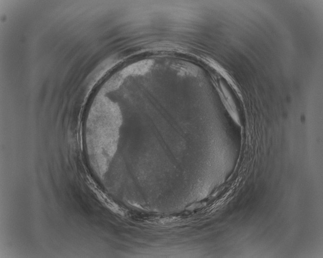 X0000067890791200605111849