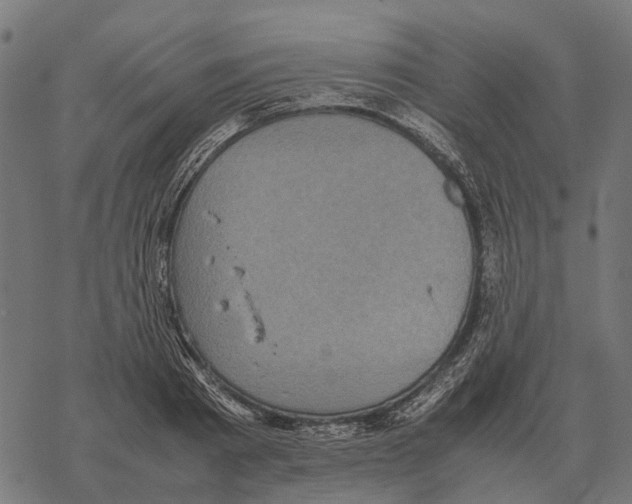 X0000067890793200605111849