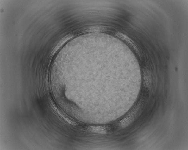 X0000067890794200605111849