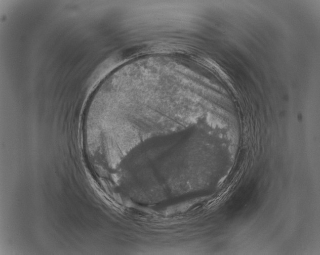 X0000067890795200605111849