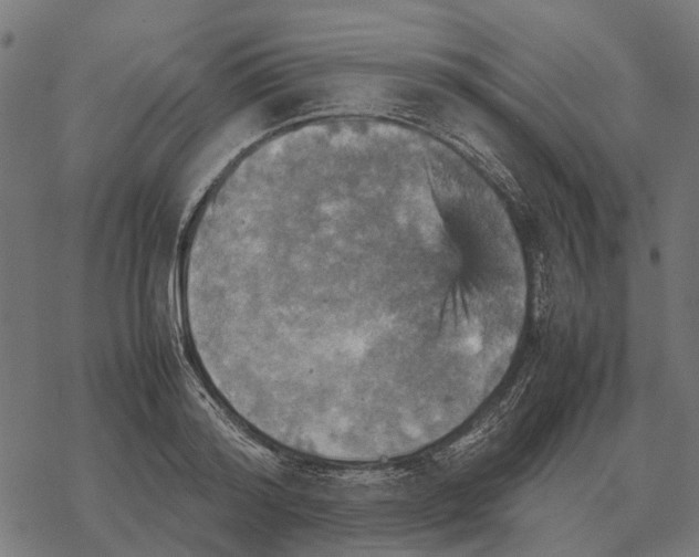 X0000067890796200605111849