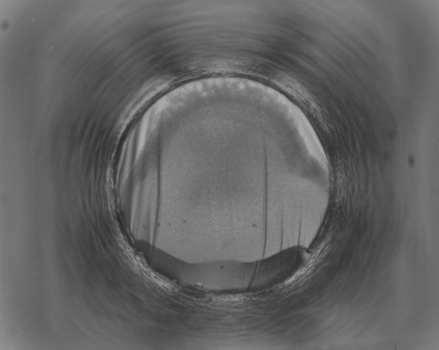 X0000067890798200605111849