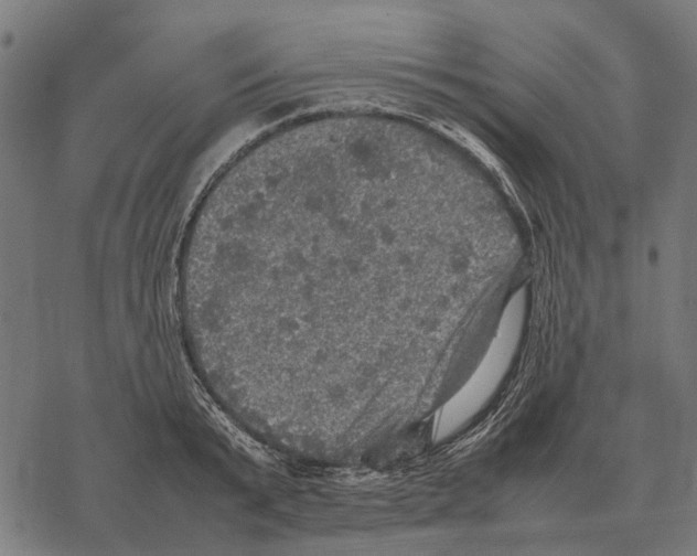 X0000067890799200605111849