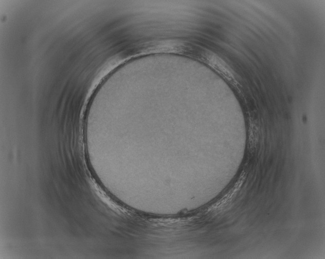 X0000067890800200605111849