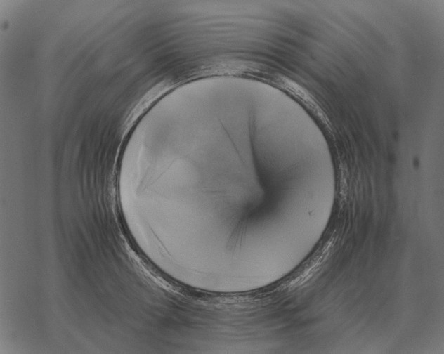 X0000067890802200605111849