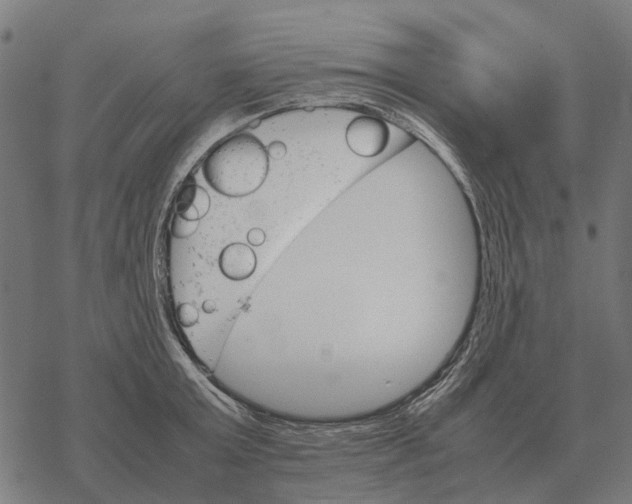 X0000067890803200605111849