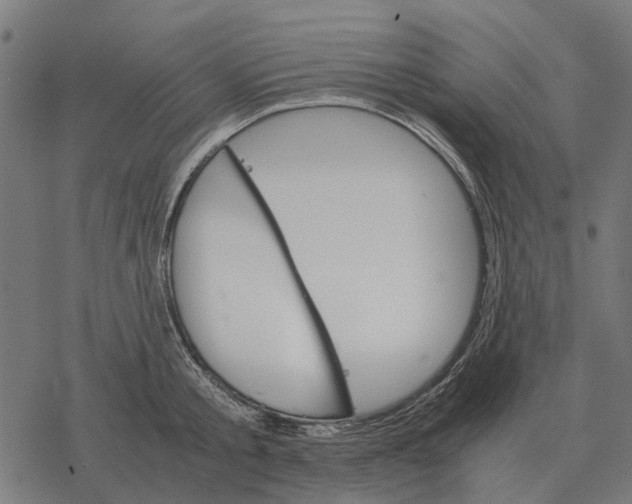 X0000067890805200605111849