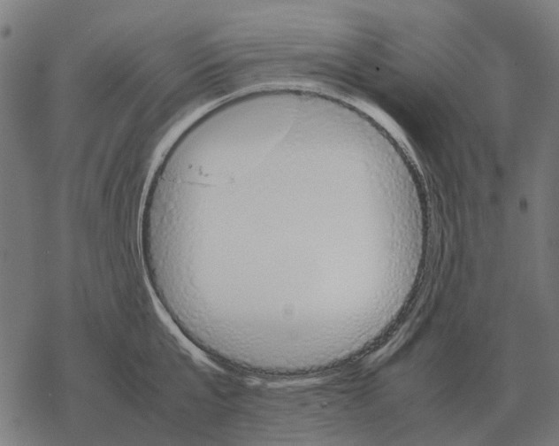 X0000067890807200605111849