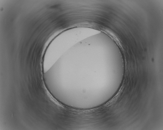 X0000067890808200605111849