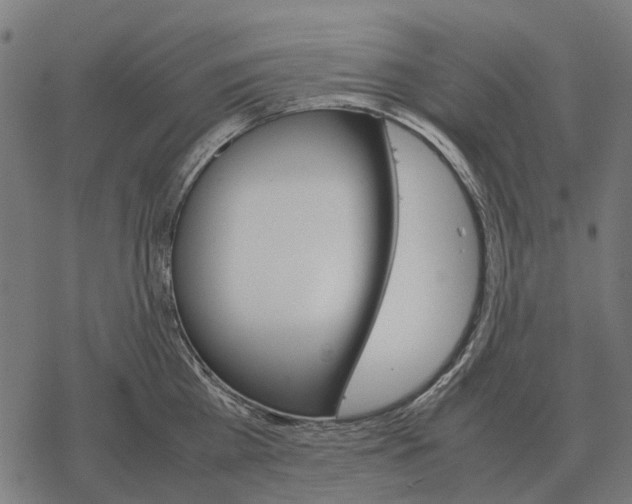 X0000067890809200605111849