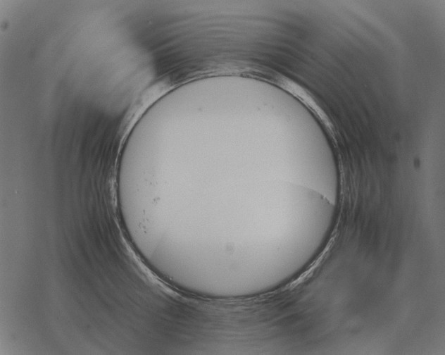 X0000067890810200605111849