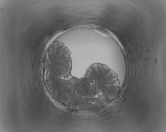 X0000067890811200605111849