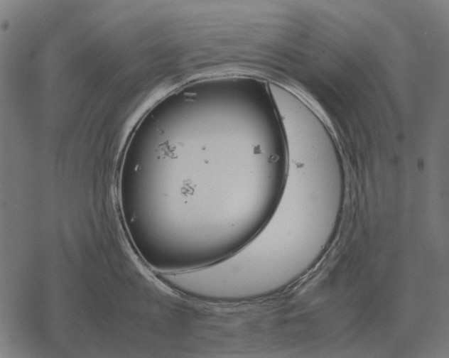 X0000067890813200605111849