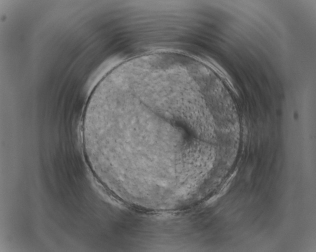 X0000067890814200605111849