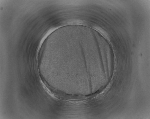 X0000067890816200605111849