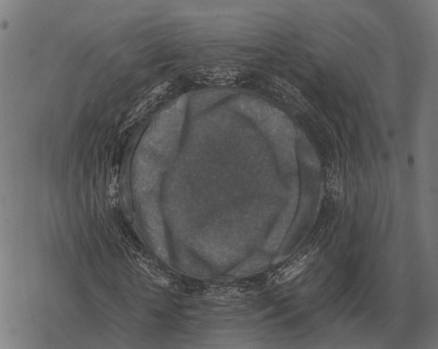 X0000067890818200605111848