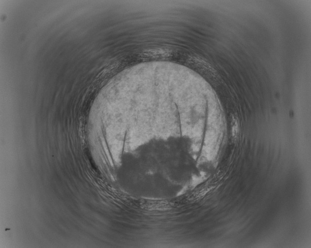 X0000067890819200605111848