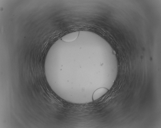 X0000067890820200605111848