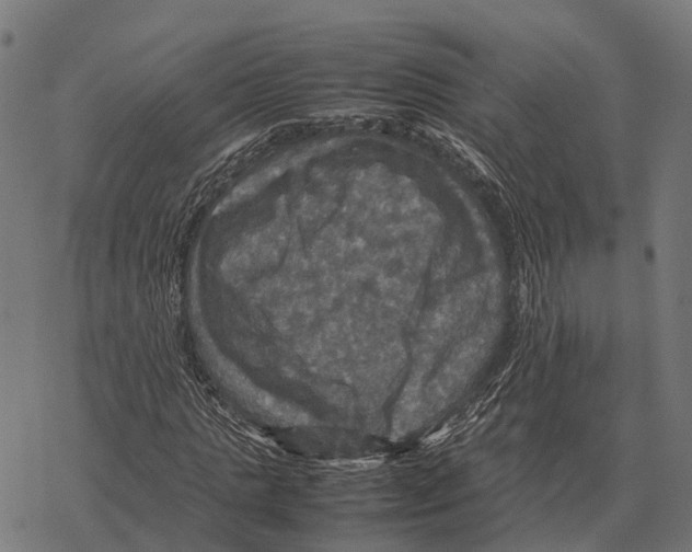 X0000067890821200605111848