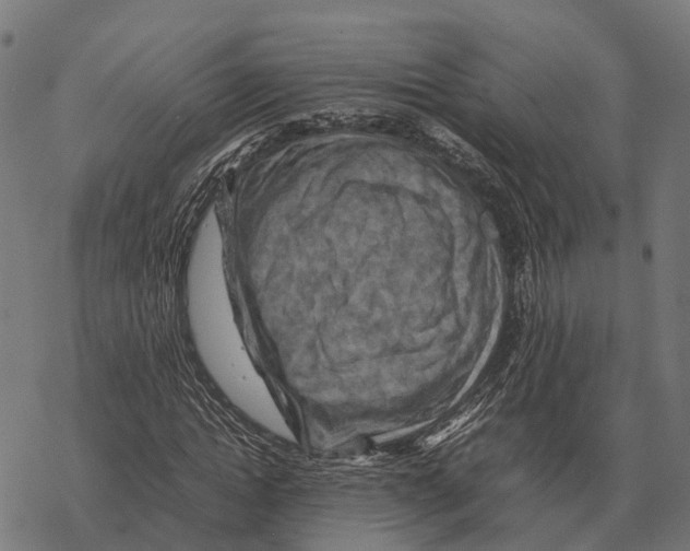 X0000067890822200605111848