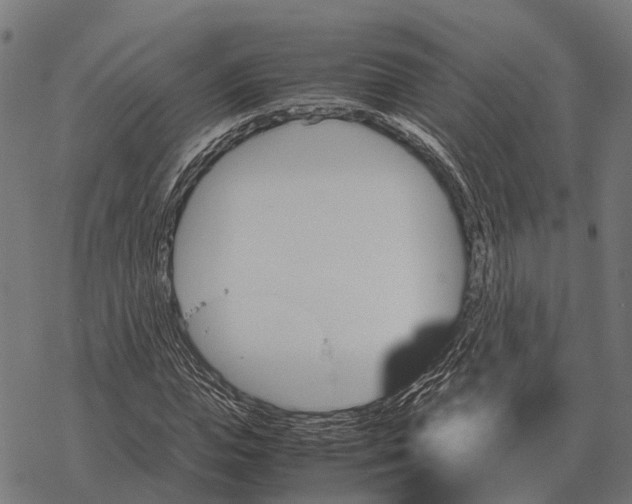 X0000067890823200605111848