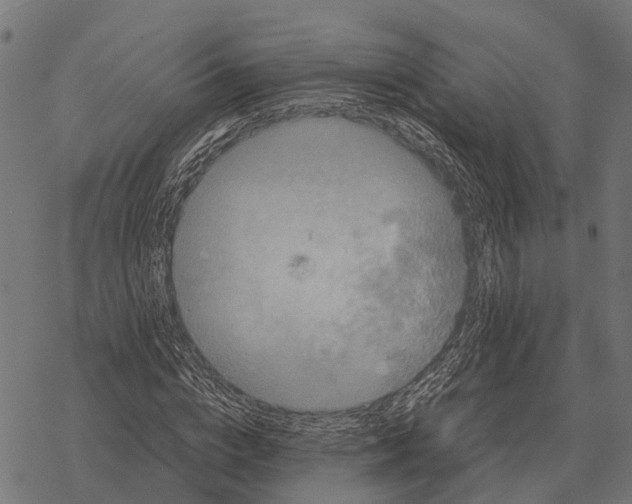 X0000067890824200605111848