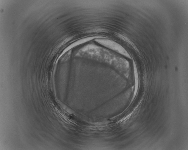 X0000067890825200605111848