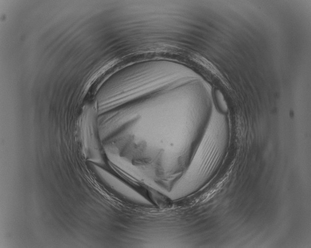 X0000067890826200605111848