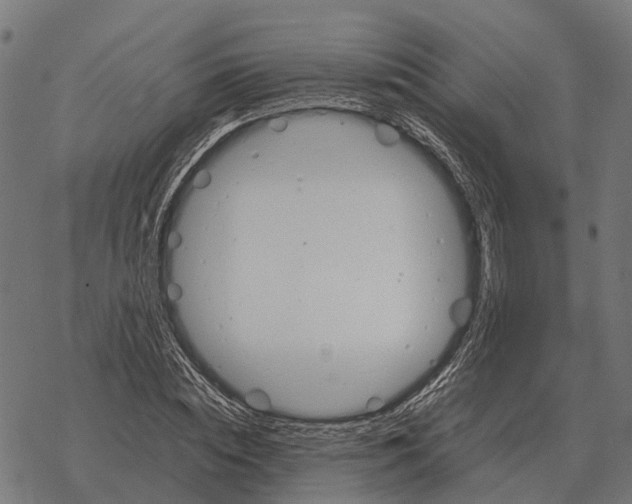 X0000067890828200605111848