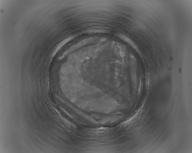 X0000067890829200605111848