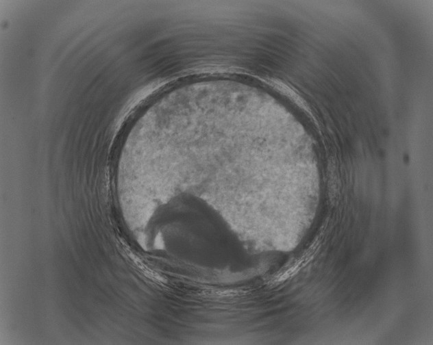 X0000067890831200605111848