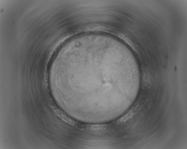 X0000067890832200605111848