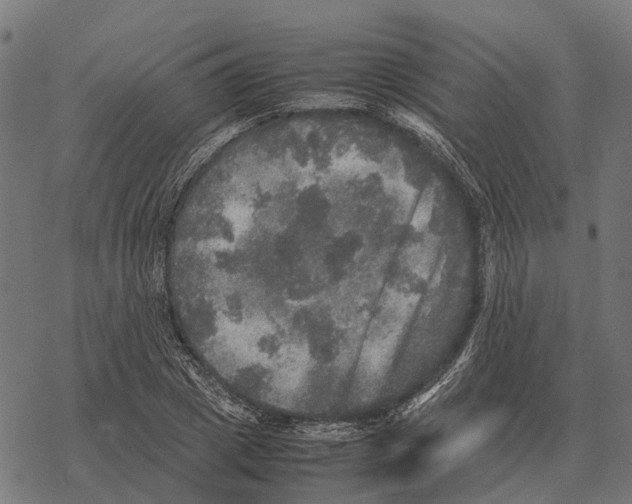 X0000067890833200605111848