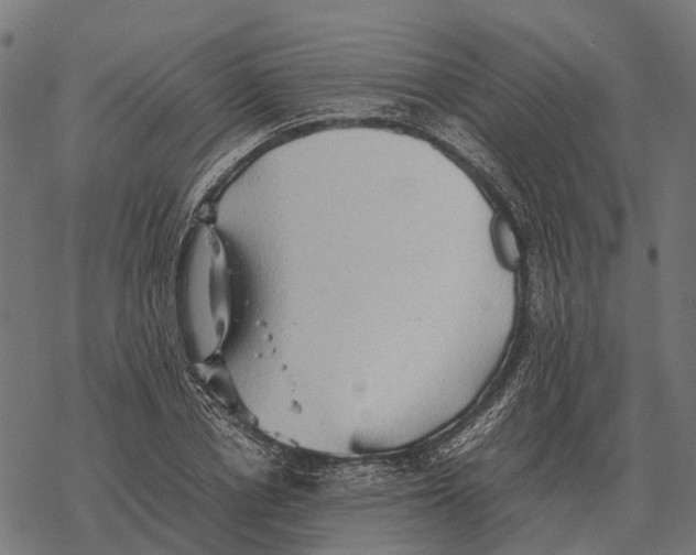 X0000067890834200605111849