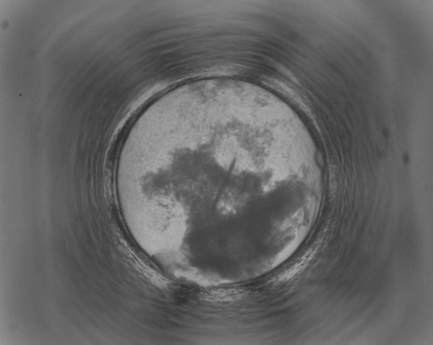 X0000067890835200605111849